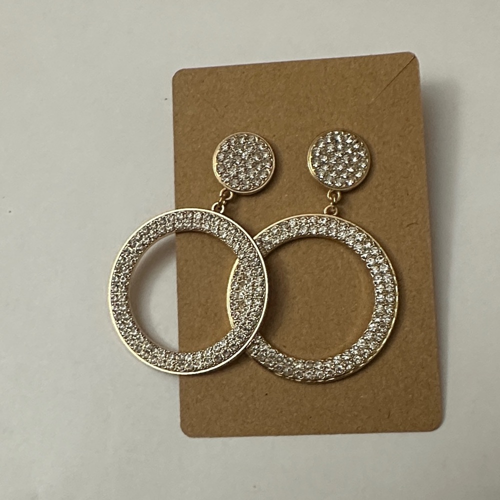 Elegant Gold and Silver Hoop Earrings